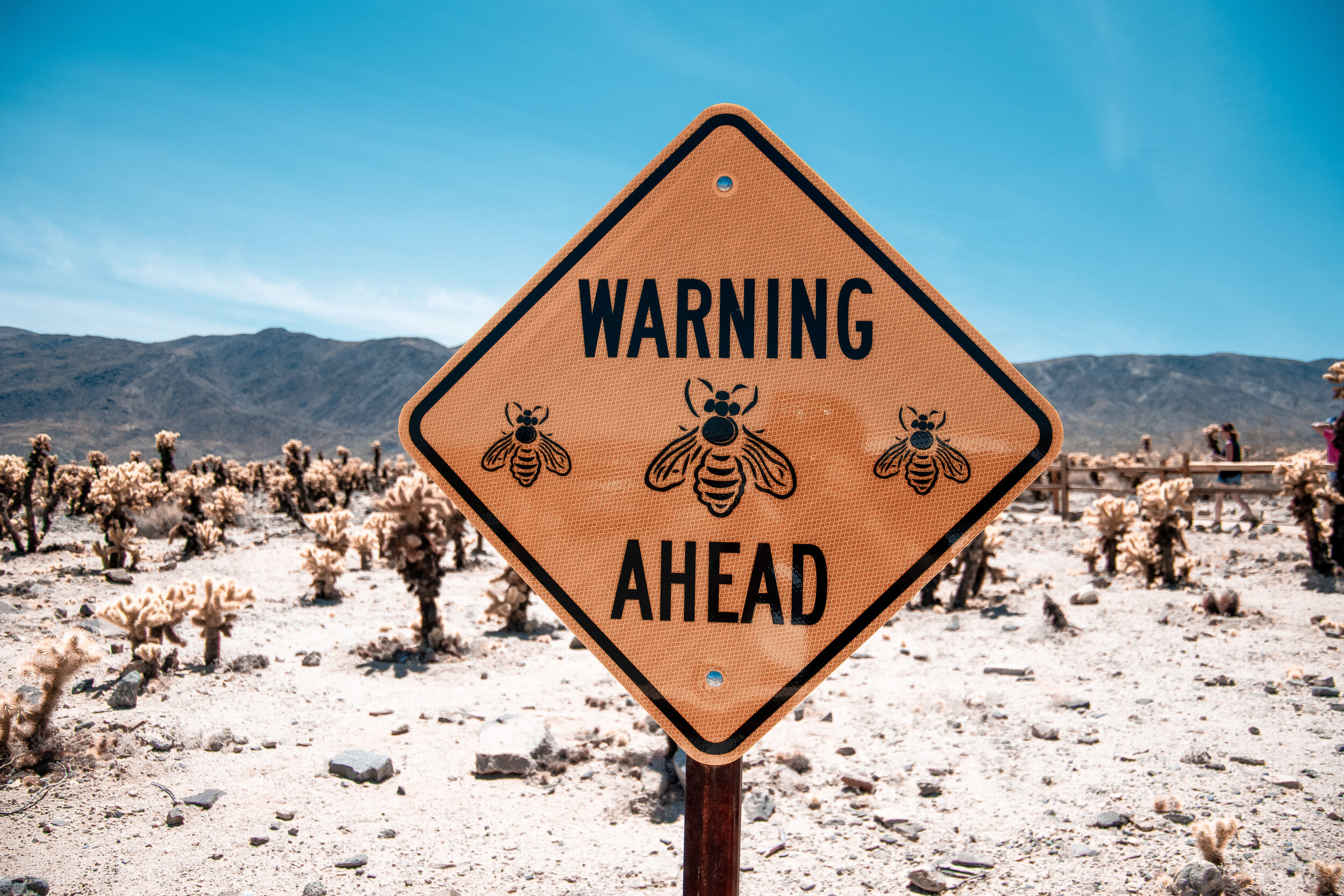 Warning Ahead Sing with bees